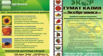 Что собой представляют стимуляторы роста?
