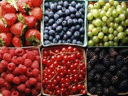 Производство плодово-ягодной продукции в Украине