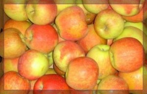 Чешские сорта яблок 