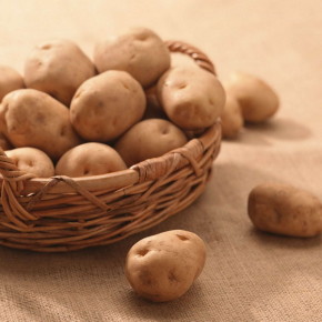 Как собрать за один сезон два урожая картофеля:как правильно сажать картофель