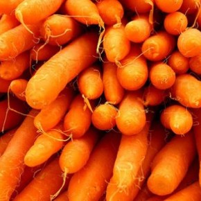 Лучшие сорта моркови:посев и уход