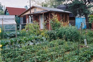 Новая  система огородничества