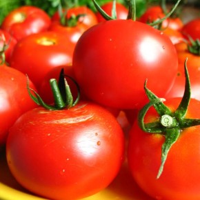 Благоприятные дни для посадки томатов в марте 2013 года
