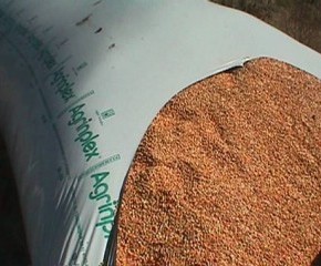 Полимерные рукава :требования к хранению зерна