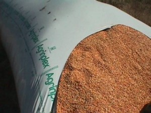 Требования к хранению зерна в полимерных рукавах