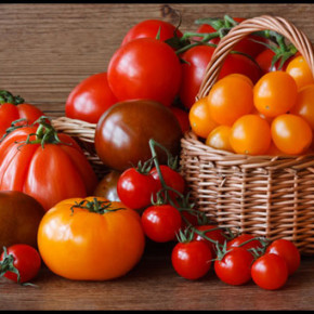 Лучшие сорта томатов 2013:самые новые сорта помидоров