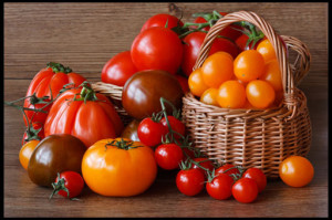 Лучшие сорта томатов 2013