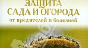 Химическая защита ягодных культур от вредителей