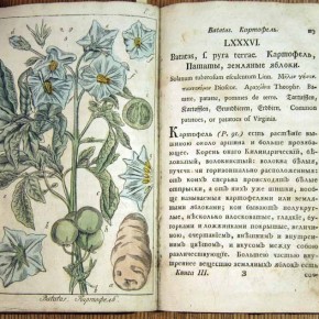 Выход в свет научно-популярной литературы о лекарственных растениях