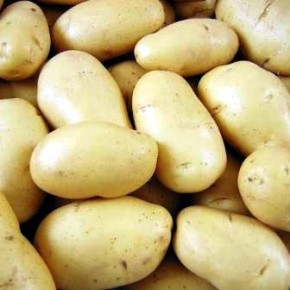 Секреты богатого урожая картофеля:три урожая в год