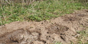 Объединение почв в агрогруппы 