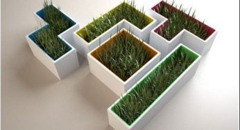 Горшки для цветов:пластиковые, керамические, декоративные