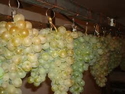 Хранение винограда:сроки и способы уборки урожая, подготовка товарного вида