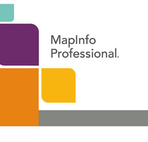 MapInfo Professional -является своеобразным синтезом различных функций