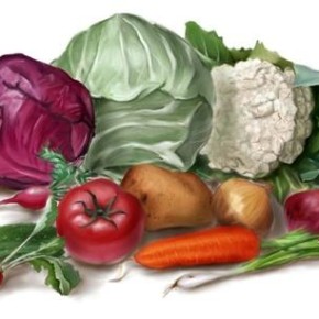 Методики учета болезней овощных и бахчевых культур