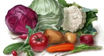 Методики учета болезней овощных и бахчевых культур