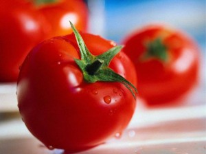 Защита томатов от болезней 