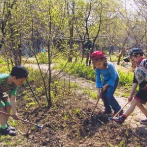 Первые весенние работы в плодовом саду:подкормка,обрезание