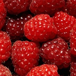 Богатый урожай ягод и фруктов на вашем участке