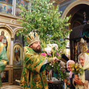 День Святой Троицы :цветы и зелень деревьев - признак жизни