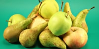Яблоки и груши :подготовка плодов для квашения