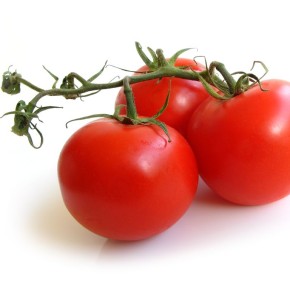 Технология выращивания томатов безроссадным способом