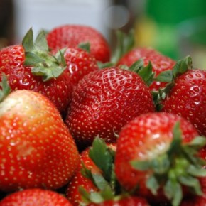 Плодовые и ягодные культуры:особенности оплодотворения отдельных сортов