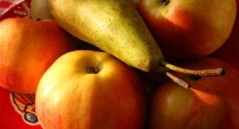 Квашение плодов:как хранить в стеклянной таре