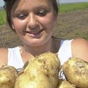 Киранда:вопросы по выращиванию китайского картофеля