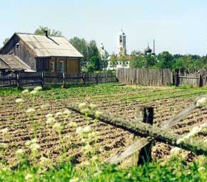 Прогревание почвы на дачном участке