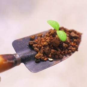 Как проверить можно ли высевать семена?