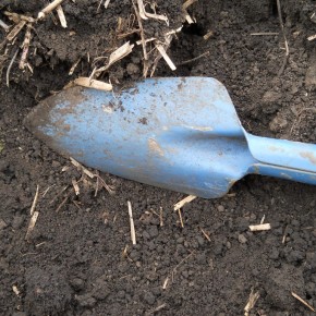 Как  определять готовность почвы к обработке и посевам?