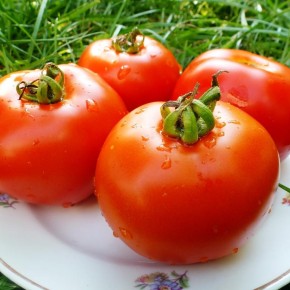 Как сохранить помидоры свежими до новогодних праздников?