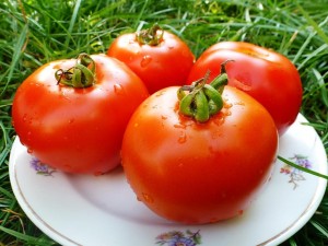 Как сохранить помидоры свежими до новогодних праздников