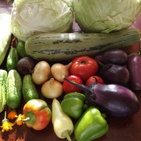 Как  уберечь овощи и фрукты без опрыскивания ядохимикатами?