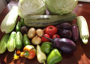 Способ вырастить овощи без ядохимикатов