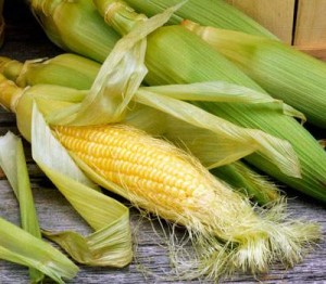  Красная кукуруза очень полезна при диабете и ожирении