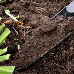 Как перекапывать почву на зиму:советы учёног-агронома