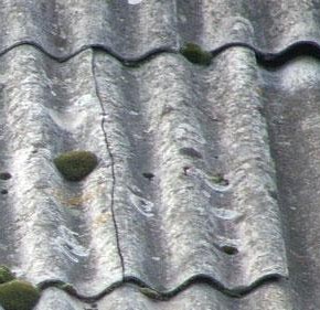 Как убрать мох на шиферной крыше?