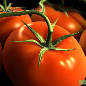 Лечебное действие томата:влияние на организм человека