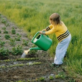 Нужно ли поливать огород после  праздника Святого Ильи?