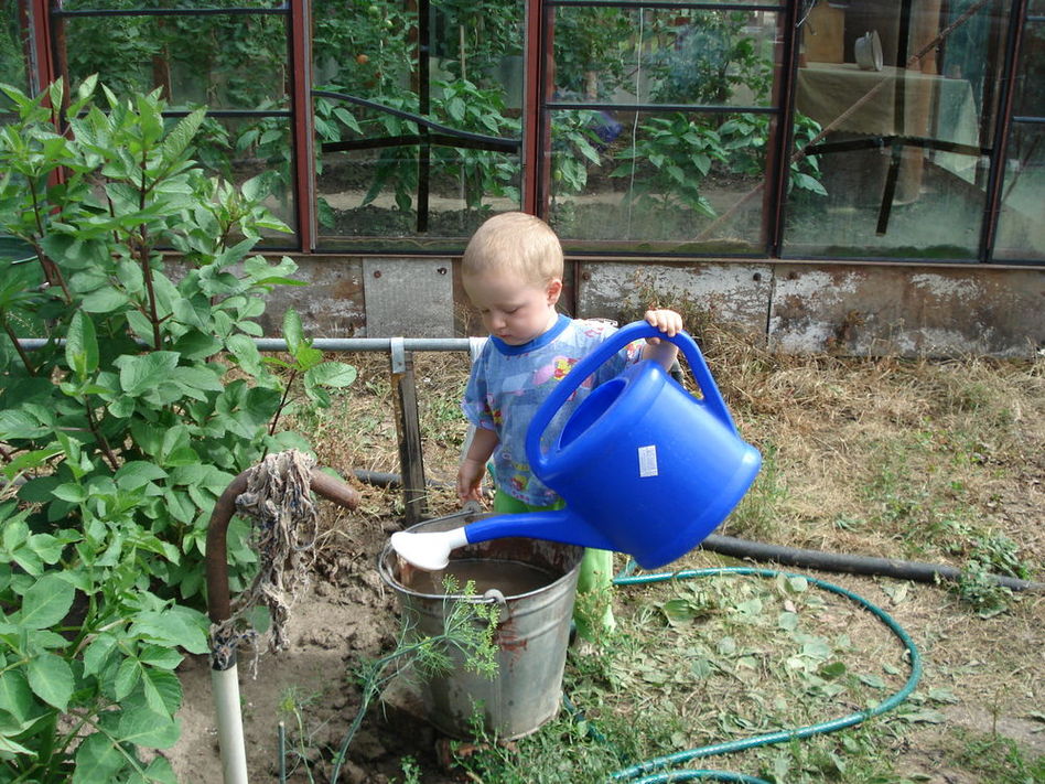 Нужно полить огород. Огород для детей. Поливать огород. Дети помогают в огороде. Дети поливают огород.
