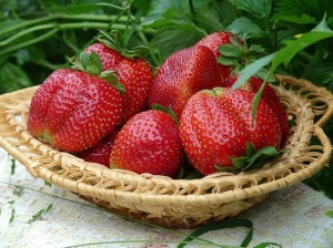 урожай крупных , вкусных ягод