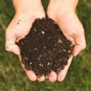 Способ подготовки  почвы под самые различные садовые культуры