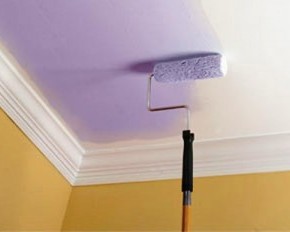 Как  выбрать краску для потолка если помещение совсем новое и может происходить усадка ?