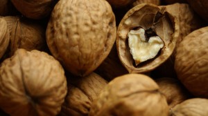Ореховая тля:методы борьбы с вредителем