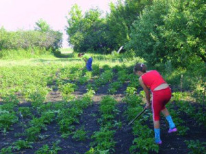 Что делать,если огород в низинах
