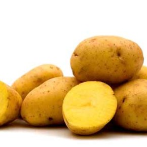 Полесский источник -сорт картофеля украинской селекции