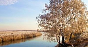 Март и ноябрь — как брату брат