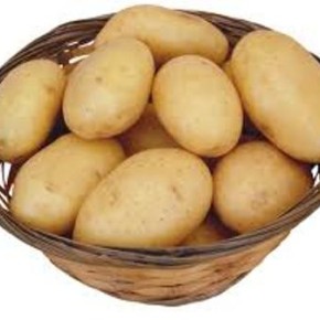 Украинский картофель:характеристика сорта Гурман